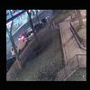 Video: Police Search For Driver In Fatal Queens Hit-And-Run